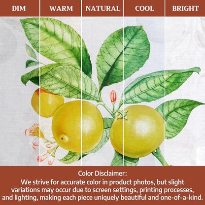 Maison d' Hermine Kitchen Towels Set of 3 Reusable 100% Cotton 27.50" x 20" | Cloth Tea Dish Towels Absorbent with Hanging Loop for Kitchen Dining Party Wedding Hotel Home Spring Summer - Limoncello - color: 003 - Limoncello