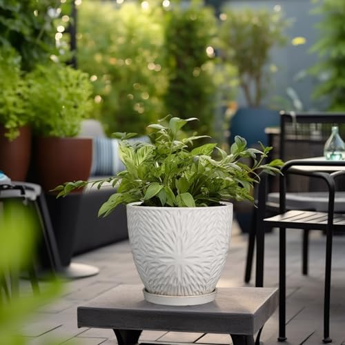G EPGardening 8 Inch Ceramic Plant Pot with Drainage Hole and Saucer Round Planter Pot for Indoor Outdoor Plants Modern Large Flower Pot White - size: 8 Inch