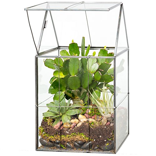 D'Eco Large Glass Plant Terrarium, Centerpiece & Wedding Letterbox Display | Tabletop Geometric Planter Terrarium, Fill with Succulents, Moss, Air Plants, Ferns, Home & Office Decor, Dims:6x5x11"