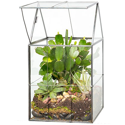 D'Eco Large Glass Plant Terrarium, Centerpiece & Wedding Letterbox Display | Tabletop Geometric Planter Terrarium, Fill with Succulents, Moss, Air Plants, Ferns, Home & Office Decor, Dims:6x5x11"