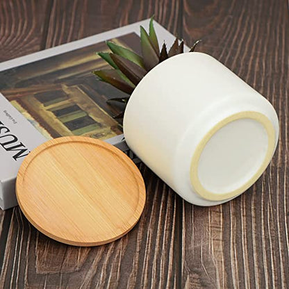 Hopewood Artificial Pineapple Succulents Plant with Ceramic Pot Wooden Tray | Faux Agave Succulent Plant in White Ceramic Pots, Potted Artificial Plants for Home, Office Desk and Bathroom Decor - size: 1 Set Pineapple