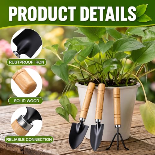 72 Pcs Mini Gardening Tools Kit with Small Trowel Mini Shovel & Hand Rake Rust Resistant Iron Succulent Tools with Wood Handle for Bonsai, Pot Plant, Seedlings, Herbs, Terrariums and Planting