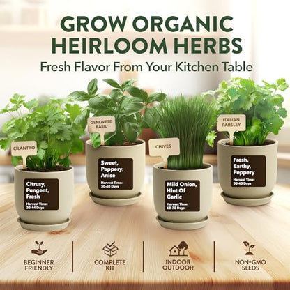 HOME GROWN Indoor Organic Herb Garden Kit, Unique Valentines Day Gift for Adults, Men, & Women,Grow 4 Herb Seeds for Kitchen Window Garden,Beginner DIY Hobby Gardening for Plant Lovers, Mom & Dad - style: Starter Organic Grow Herb Kit