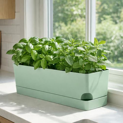 Party Zealot Window Boxes Planters, 3 Pack Self Watering Pots for Indoor Plants 17 Inch Rectangular Planter Rectangle Flower Pots Long Plant Pot Large Window Sill Herb Planter Box, Green - color: Green