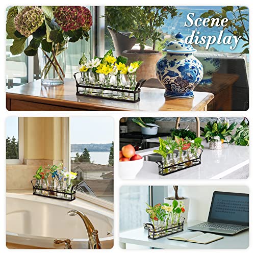 Propagation Stations Indoor Decor Planters Terrarium with Stand,Propogation Planter Glass with 5 Air Plant Terrarium for House Plants Hydroponic Home Garden Office Decoration