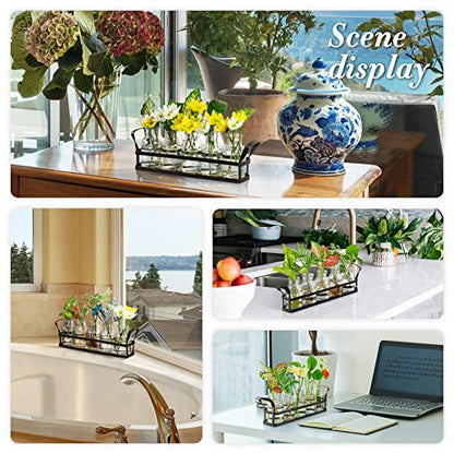 Propagation Stations Indoor Decor Planters Terrarium with Stand,Propogation Planter Glass with 5 Air Plant Terrarium for House Plants Hydroponic Home Garden Office Decoration