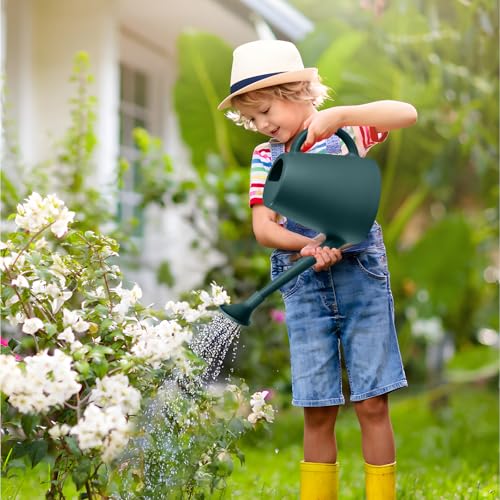 ZXJ Plant Watering Cans for Indoor and Outdoor Home Garden Plants - with Long Spout - Blackish Green - 1/2 Gallon - color: Blackish Green