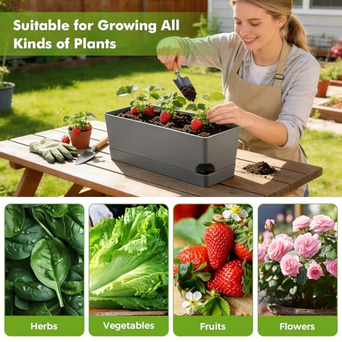 2 Pack Rectangle Self Watering Pots for Indoor Plants 17 Inches Window Boxes Planters Rectangular Flower Pots Herb Large Plant Pots with Drainage Holes and Saucers Windowsill Planter, Grey - color: Gray
