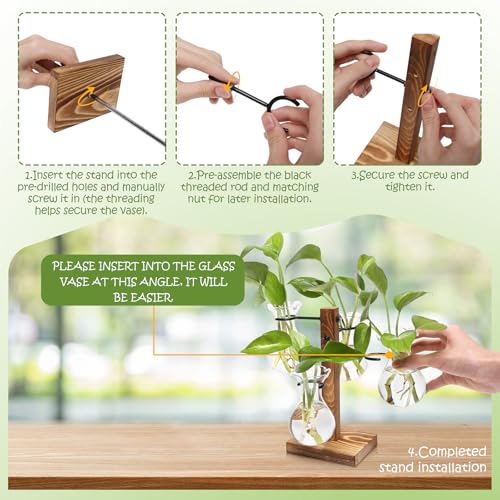Plants Propagation Stations Bulb Glass Propagation Birthday Gift for Women | Garden Plant Lovers - 4 Bulb - color: Transparent
