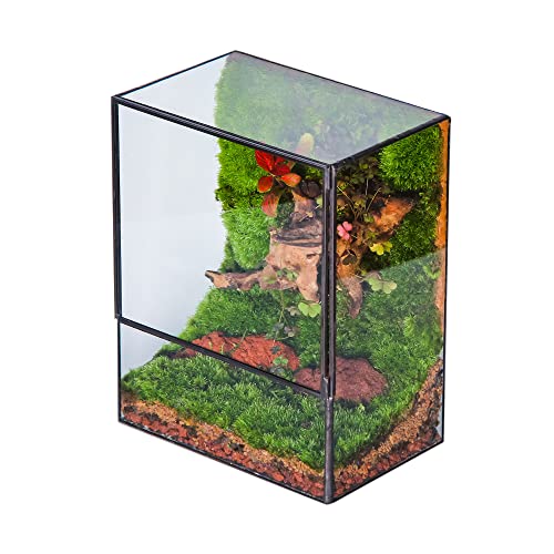 NCYP Close Glass Terrarium with Door - 7.8 x 5.1 x 9.8 Inches Landscape Clear Glass Planter for Small Tropical Plants, Moss Wall - Indoor Tabletop Centerpiece, Garden Decor (Terrarium Only) - size: 7.8x5.1x9.8 inches