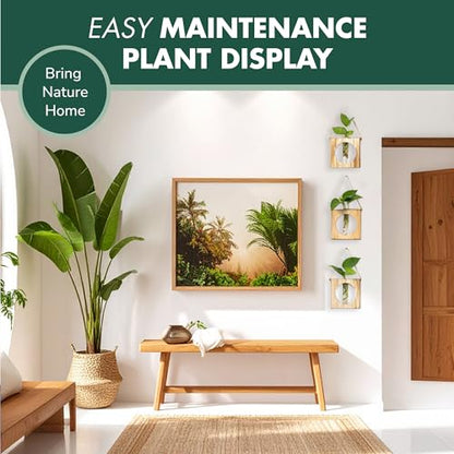 · GARDEN REPUBLIC · Propagation Stations Set of 3 - Propagation Vases for Plants - Hanging Wooden Wall Planter and Glass Test Tubes - Indoor Plant Holder, Hydroponic Decor