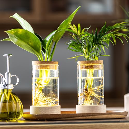 Glass Plant Propagation Stations, Propagation Vases for Plants with Ambient Light Base, Hydroponic Vase for Home & Office Windowsill Tabletop Decoration Desktop Vases for Living Room, Bedroom (9)