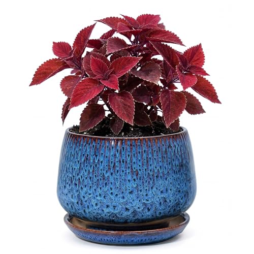 7.5 Inch Ceramic Planter with Saucer,Modern Garden Pots with Drainage Hole Mesh Net, for Indoor Outdoor Use (Speckle Blue) - color: Peacock Blue, size: 7.5 Inch