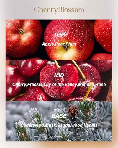 M&SENSE Cherry Blossom Scented Candles 12 oz, Large 3 Wick Soy Tin | Triple Wick, 40 Hour Long Burn, Non-Toxic,100% Natural Soy Wax, Stress Relaxing Aromatherapy Candle Gift for Women Men - color: Cherry Blossom