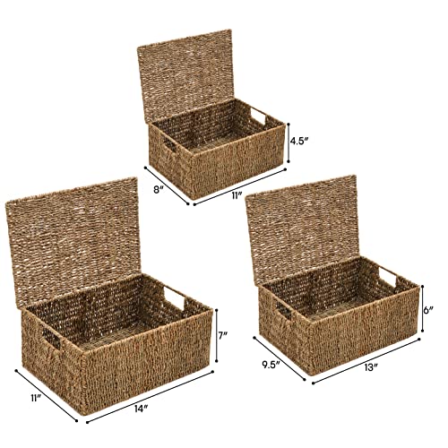 Trademark Innovations Set of 3 Rectangular Seagrass Baskets with Lids, Natural (Small) - color: Natural