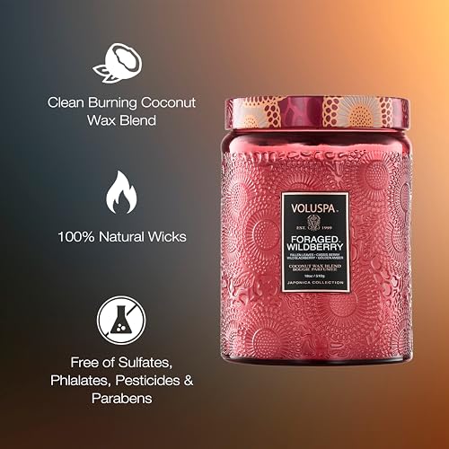 Voluspa Foraged Wildberry Large Jar Candle, 18 oz, Coconut Wax Blend, Berry Scented Candle for Home, 100 Hour Burn Time, Handcrafted in the USA - color: 18 - Foraged Wildberry