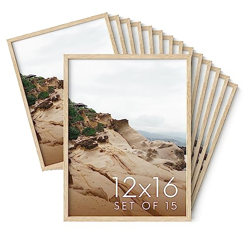 Haus and Hues 12x16 Natural Oak Wood Picture Frames Set of 15 - Premium Bulk Picture Frames 12x16 Bundle - Elegant Gallery Wall Frame Set for Posters, Art Display - Ideal for Wall Decor in Home & - color: Beige Oak, size: 12x16 in, style: Set of 15