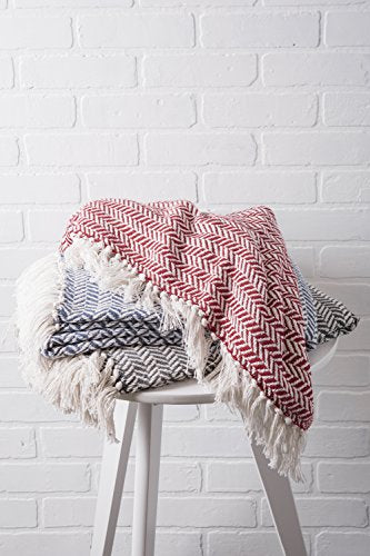 DII Modern Farmhouse Cotton Herringbone Blanket Throw with Fringe for Chair, Couch, Picnic, Camping, Beach, & Everyday Use, 50 x 60 - French Blue - color: French Blue