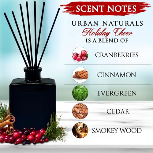 Reed Diffuser Set, Holiday Cheer - Bathroom Shelf Décor | Cranberry, Cinnamon, Evergreen, Cedar & Smokey Wood, 5 ounce Sleek Black Rectangular Refillable Glass Bottle, Made in the USA - color: Holiday Cheer