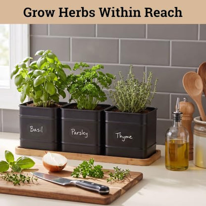 Herb Planter Indoor, 3-pc Herb Pots w/ Drainage Holes, Bamboo Tray & Labels | Iron Herb Pots, Varnished Bamboo Tray with Anti-Skid Base, Customizable Oval Sticker and Stick Labels & Chalkboard Marker Pen - color: Black