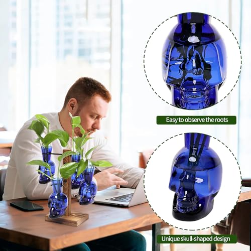 Plants Propagation Stations Skull Glass Propagation Birthday Gift for Women | Garden Plant Lovers - 4 Skull - color: Blue