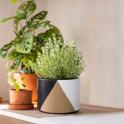 D'vine Dev 2-Pack Cachepot with Clear Pot, 6.5"low, Midnight Mesa, 93-V-D-2 | Dual-Pot System, Root Visibility, Bottom Watering Support, Enhanced Drainage, Artistic Stoneware Design, Easy Plant Care - color: Midnight Mesa, size: 6.5” Cachepot + 6“ Clear G