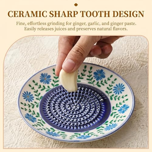Ceramic Garlic Grater Plate Bowl Tomato Dish Made in Spain Spanish Grating Pan Herb Stripper Peeler Con Tomate Grater Plate Brush Stand Kitchen Gadget Gift Set Ginger Olive Oil Dip(#L) - color: #L