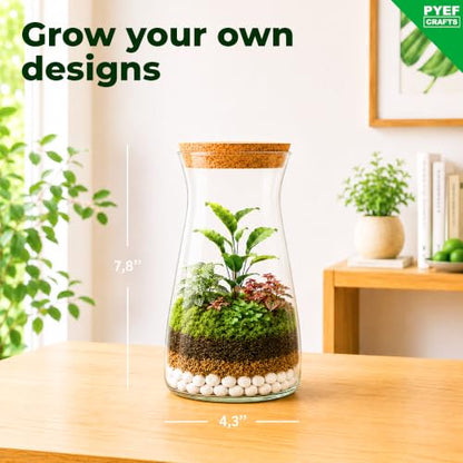 Terrarium Kit for Plants DIY | Starter Pack – Closed Ecosystem – 34 fl oz Glass – Succulents, Air Plants, Bonsai, Indoor Plants – (Plants Not Included) - size: 34 fl oz