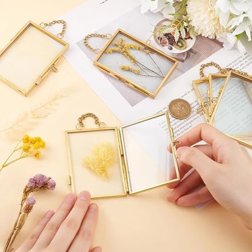 4 Pcs Pressed Flower Frame with Tweezers, Wall Hanging Tabletop Display Double Glass Frames with Metal Chain for Pressed Dried Flowers Plants, Horizontal and Vertical Picture Frame, Gold, FRAMES ONLY - color: Gold-4