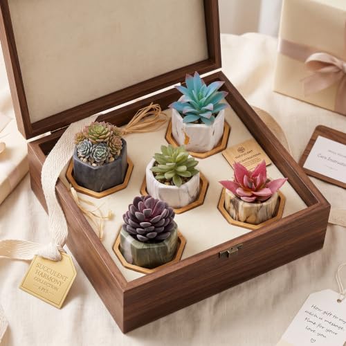 Marbling Ceramic Flower Pot Succulent Small Plant Cactus Herbs Planter Ceramic Pot with Drainage Hole Matte Container(6 Pcs,Hexagon Style) - style: Hexagon Style