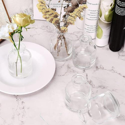 6 Pcs Bud Vases, Clear Glass Bud Vase, 2 x 2.75 Inch | Mini Flower Vases, Small Living Glass Vase Bulk for Flowers, Centerpieces, Home Table Decor, Living Room, Office Decor