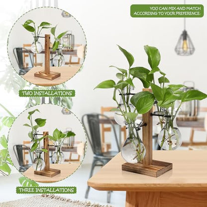 Plants Propagation Stations Bulb Glass Propagation Birthday Gift for Women | Garden Plant Lovers - 4 Bulb - color: Gray