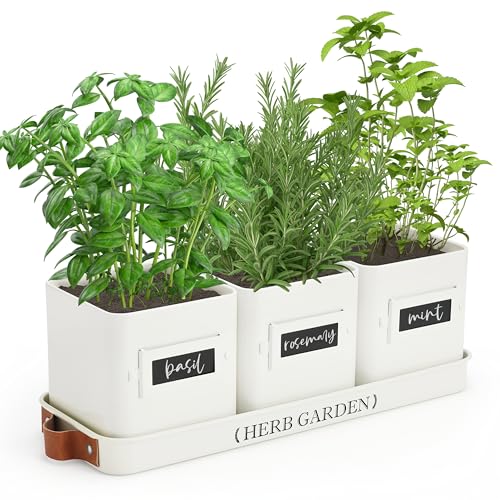 PERFNIQUE Indoor Herb Garden, Herb Planter Set with Tray, Farmhouse Indoor Plant Pots, Windowsill Herb Garden with Drainage(Planter only) for Indoor/Outdoor, Window Pots(White) - color: White