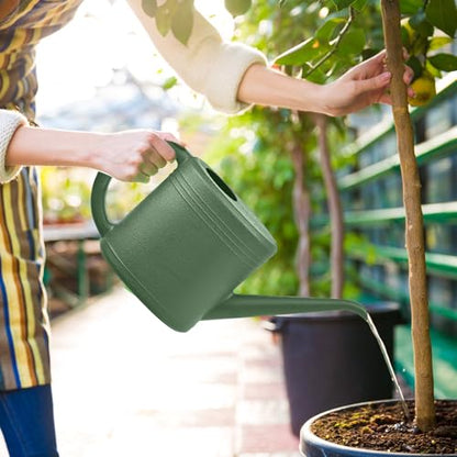 Hand Plastic Watering Can for Home Plant Garden - with Long Stem - 1/4 Gallon - Green - color: Green