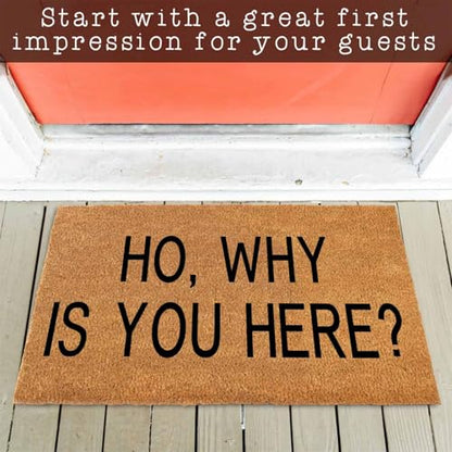 Funny Coir Welcome Doormat for Porch & Entrance - Personalized Rug, Heavy-Duty PVC Backing, Non-Slip, 30 x 18 inch - color: Ho Why You Are Here