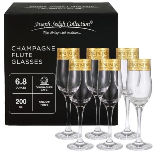 Joseph Sedgh Collection Greek Key Champagne Flute Glasses Set of 6-6.8 oz Round Cylinder Champagne Glasses with Stem, Dishwasher Safe Premium European Grade Glassware