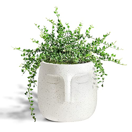 GeLive Head Plant Pot Succulent Planter with Drainage Hole Modern Statue Flower Pot Face Plant Vase Windowsill Box Art Home Decoration Indoor Outdoor (White) - color: White