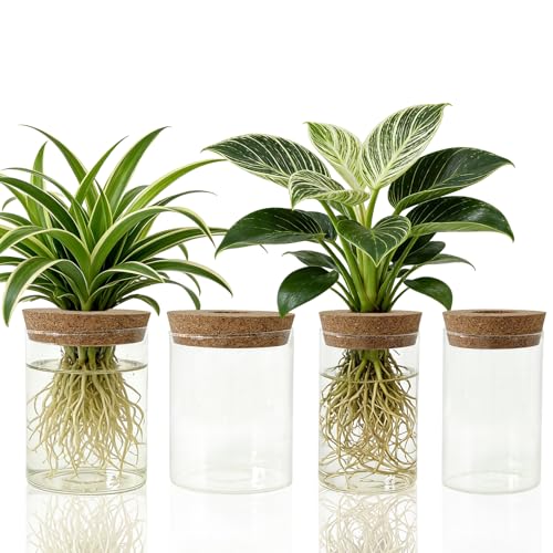 4 Pack Glass Plant Propagation Station,Desktop Vases for Home Office Decor | for Herb & Plant Cuttings, Fits Living Room Bedroom Office, Ideal Plant Lover Gift, Decorative Glass Planter Jars