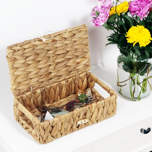Water Hyacinth Wicker Storage Basket with Lid, X-Small | 9 x 5.1 x 3 Inch Box, Shelf Organizer, Rectangular Woven Bin, Small Item Storage, Natural Home Decor - size: X-Small