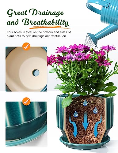 Plant Pots 6 inch Ceramic Pots for Indoor Plants Set of 2 Flower Pots Unique Crackle Glaze Design Plant Pots with Drainage Hole and Saucer Come with Drainage Nets (Aqua Green) - color: Aqua Green