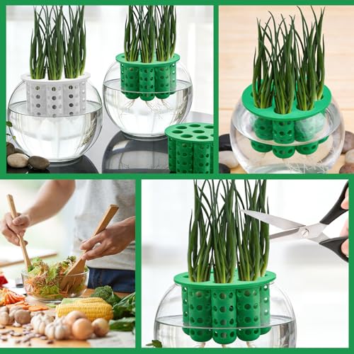 2 Pack 9 Hole Green Onion Planter Seed Sprouting Kit Scallion Planter Compatible with Regular Mouth Mason Jar for Windowsill Garden, Hydroponics, and Propagation Hydroponics Enthusiasts(Green,White)