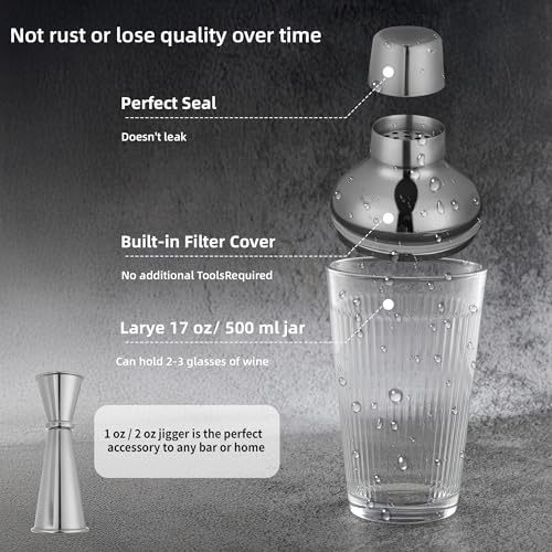Silver Cocktail Shaker Set - Bartender Shaker Kit with Mixing Tools & Stainless Steel Strainer, Premium Bar Tool Set for Crafting Martinis & Whiskey Cocktails - color: Silver Set