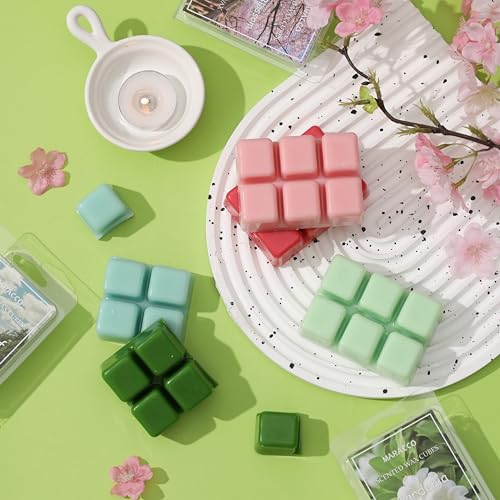 Summer & Spring Scented Wax Melts, Flower and Leaf Scented Wax Melts | Soy Wax Cubes for Wax Warmer, 6 x 2.5oz - color: Natural Plant