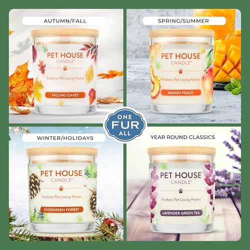 Pet House 9 oz Fresh Cut Grass Scented Candle, Clean Burning, Long Lasting Plant-Based Pet Odor Candle, 60 Hour Burn Time - 2 Pack - color: Fresh Cut Grass, size: Pack of 2
