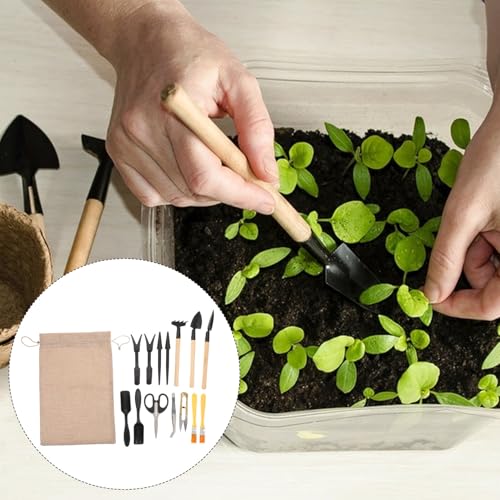 LALAFINA 15pcs Mini Gardening Tools Set for Indoor Plants with Portable Potting and Transplanting Handheld Tools for Succulents and Bonsai Garden Use