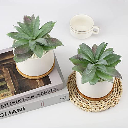 Hopewood Faux Agave Succulent Plant in Ceramic Pots Bamboo Tray, Set of 2 | Artificial Succulents Plants Faux Agave Greenery Fake Potted Plants for Bedroom Home Office Desk Living Room Decor - size: 2 Set Agave