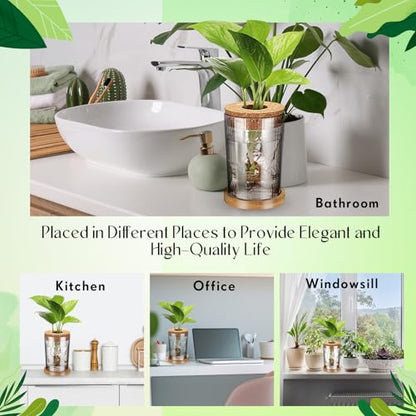 9 Packs Propagation Vases for Plants Plastic Plant Propagation Station with Hole Lid and Bamboo Stand Growing in Water Hydroponic Home Office Table Decoration(Stripe Style) - style: Stripe Style