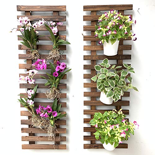 ShopLaLa Wall Planter (90cm, 2 Pack) Hanging Planters for Indoor Plants | Air Plant Succulent Holder, Plant Stand, Vertical Garden Large Stylish Wall Decor for Living Room, Room Decor for Teens - size: 90cm (35.4") x 2