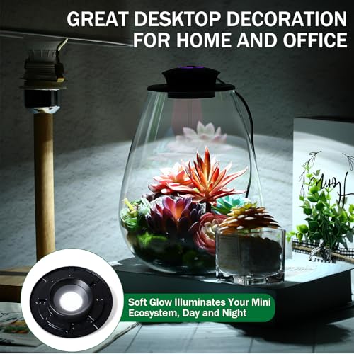 Desktop Glass Terrarium with Grow Light, 6.7 x 8.7 Inches, Mini Borosilicate Glass Plant for Succulent Moss Miniature Gardening Landscape, Small Fish Tank, Indoor Plant Growth, Empty Bottle