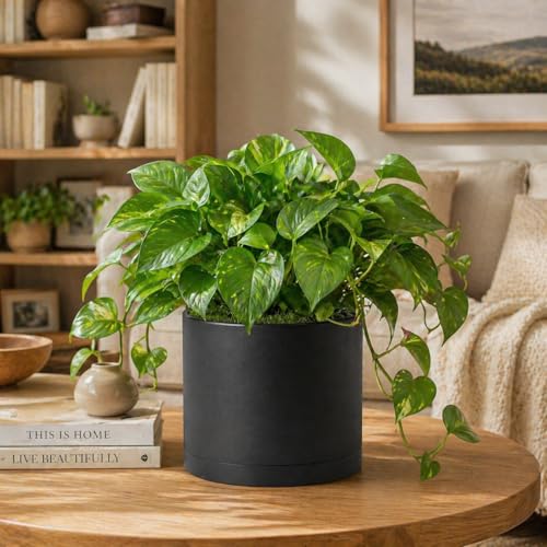 Giraffe Creation 10 Inch Cylinder Plant Pot, Modern Round Planter with Drainage Holes and Saucer, Lightweight Plastic Flower Pot for Indoor Outdoor Plants, Black - color: Black 10 Inch